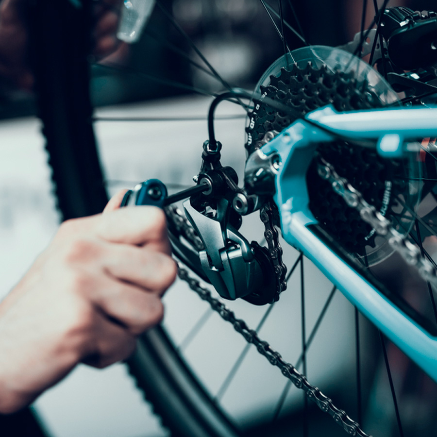 Bike Assembly (Basic geared) On Wheels